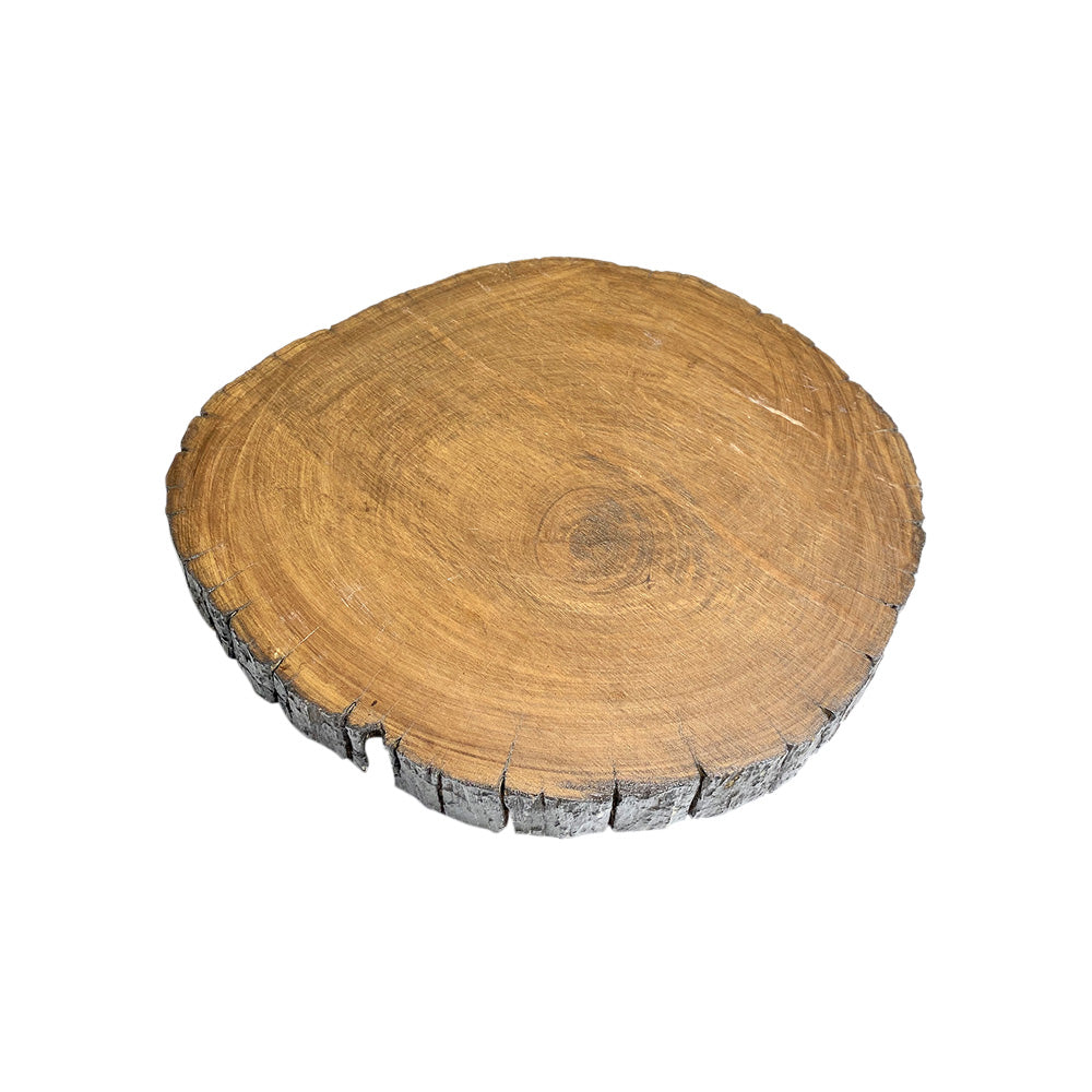 Timber Tree Rounds - Varnished Oak